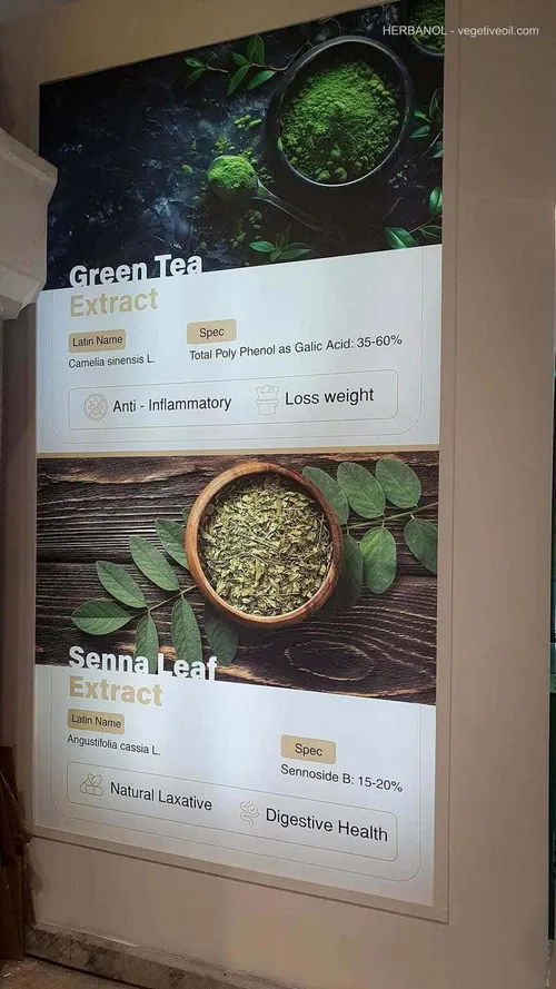 Backlit panel describing green tea and senna leaf extracts
