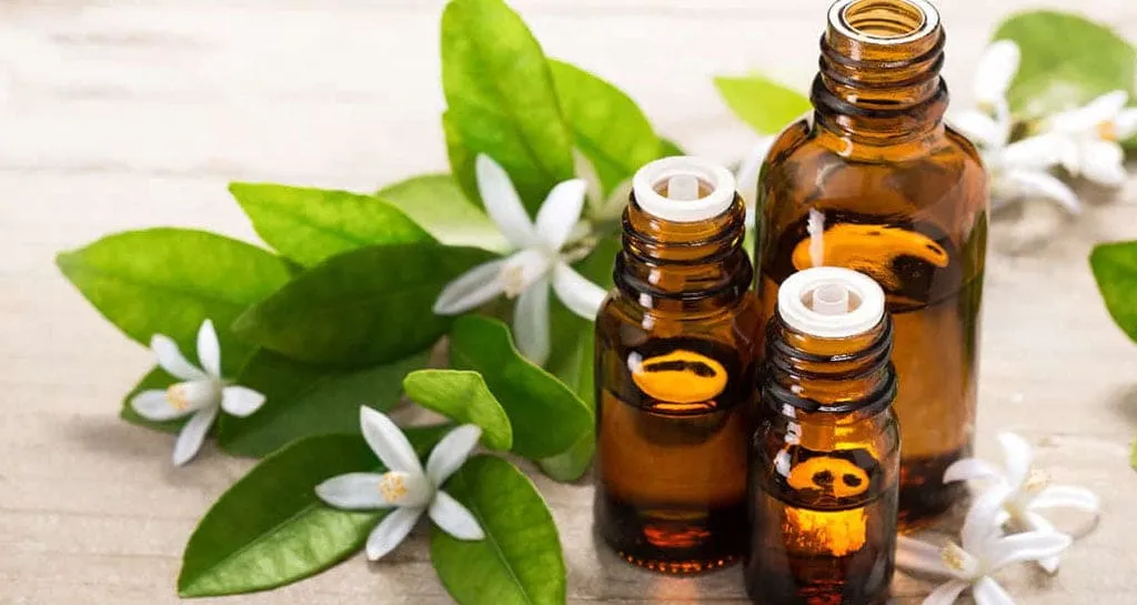 Neroli Essential Oil With Fresh White Neroli Flowers