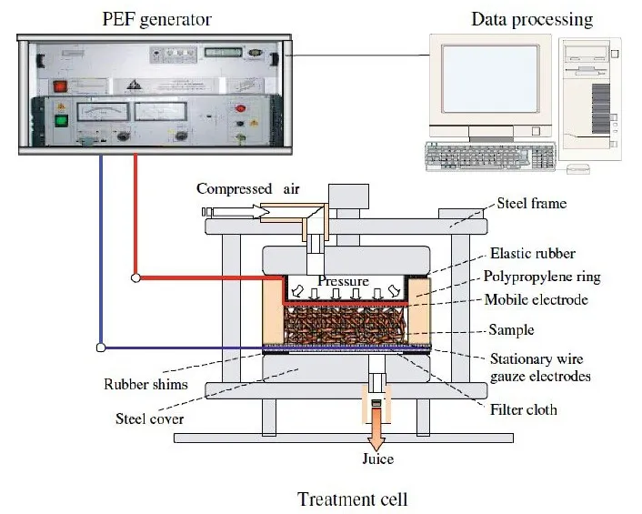 Pulsed electric field (PEF) oil-extraction system Labeled diagram of a pulsed electric field extraction system: PEF generator, data-processing computer, and a treatment cell that releases juice