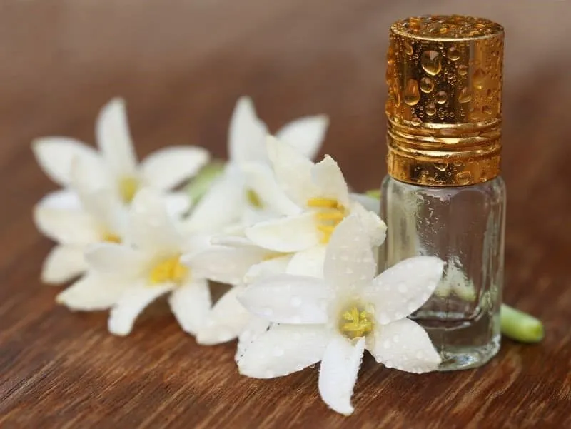 Tuberose Essential Oil and Flowers