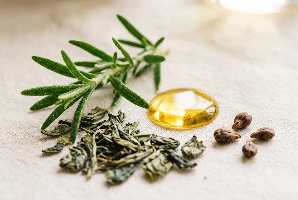 Fresh rosemary, green tea leaves, and grape seeds beside a drop of golden oil