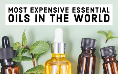 The Most Expensive Essential Oils in the World