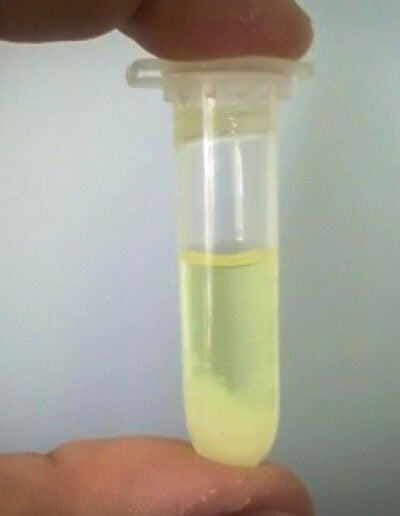 herbanol-lab-2