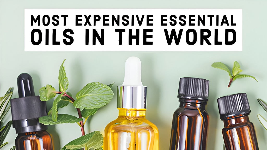 The Most Expensive Essential Oils in The World