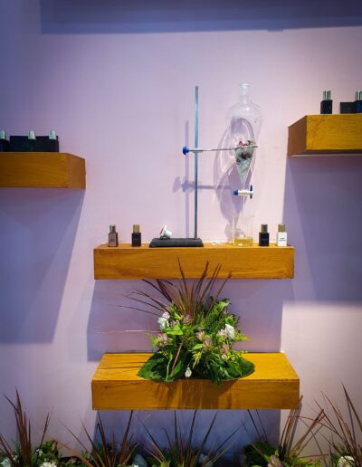 Artistic display of skincare bottles on wooden shelves against a lavender wall, accompanied by a glass chemistry flask and surrounded by lush greenery.