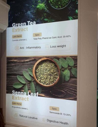 Green Tea and Senna Leaf extract benefits displayed at IranPharma 2024.